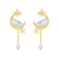 S925 Silver Plated 14K Gold Earrings Luxury Fashion Jewelry