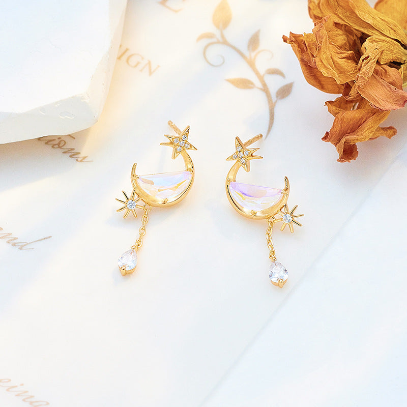 S925 Silver Plated 14K Gold Earrings Luxury Fashion Jewelry